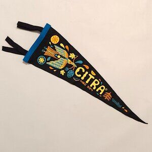 CHEERFUL Citra Pennant Oxford Pennant CELEBRATE EVERYTHING